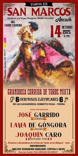 Feria de la Virgen Peregrina - San Marcos 2025